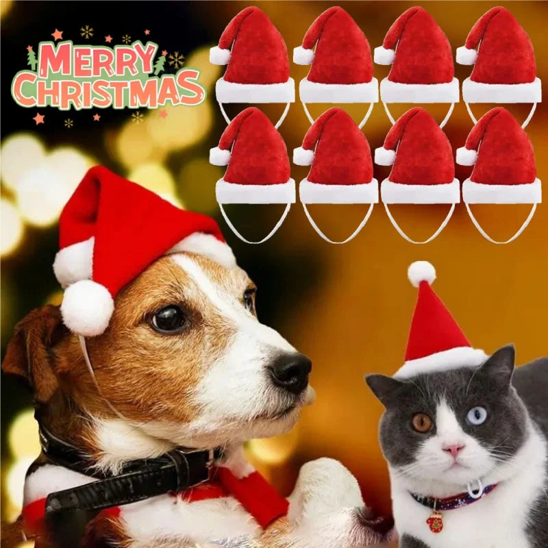 Red Plush Santa Hat for Pets - Festive Holiday Costume Accessory for Dogs and Cats, Perfect for Photoshoots and Celebrations
