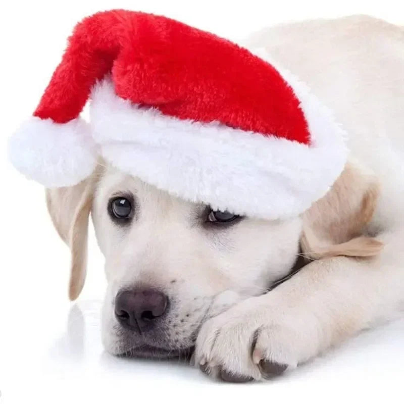Red Plush Santa Hat for Pets - Festive Holiday Costume Accessory for Dogs and Cats, Perfect for Photoshoots and Celebrations