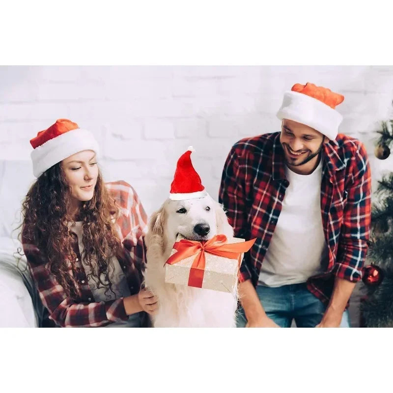 Red Plush Santa Hat for Pets - Festive Holiday Costume Accessory for Dogs and Cats, Perfect for Photoshoots and Celebrations