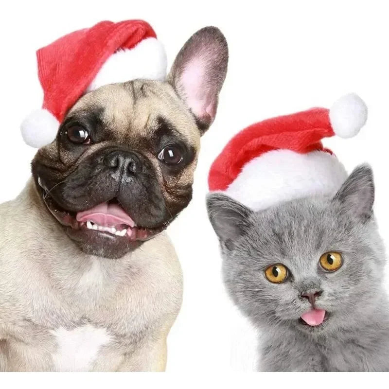 Red Plush Santa Hat for Pets - Festive Holiday Costume Accessory for Dogs and Cats, Perfect for Photoshoots and Celebrations